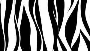 Live Visuals / VJ Loop - Wavy Zebra
